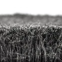 Muc-Off Soft Washing Brush -Motorcycle Accessories Sales 2022 33349 5